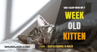 Sleeping with Your Kitten: What to Know