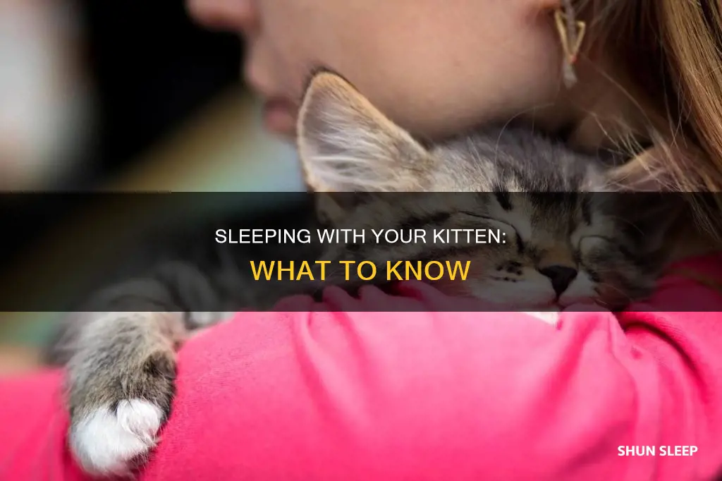 can i sleep with my 7 week old kitten