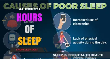 Thriving on Minimal Rest: Is 5 Hours of Sleep Enough?