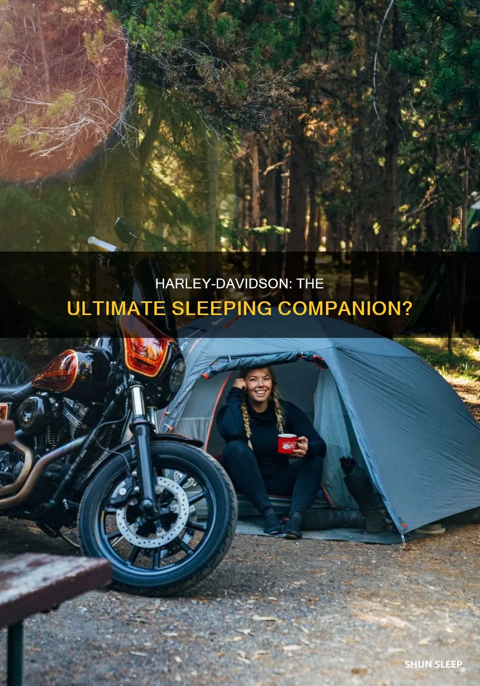 can i use harley-davidson in to sleeping