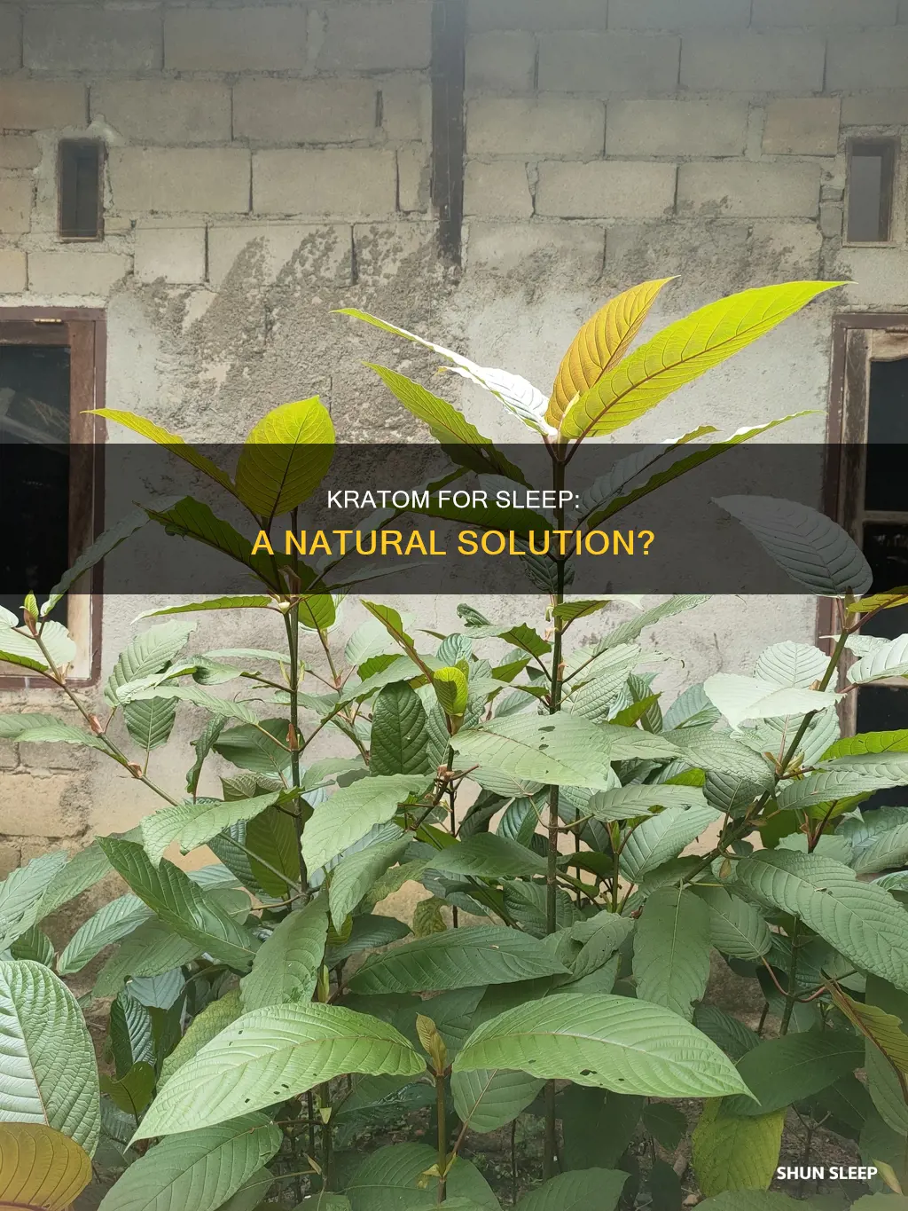 can i use kratom for sleep