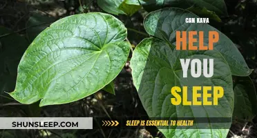 Kava for Sleep: Natural Remedy or Myth? Uncover the Truth