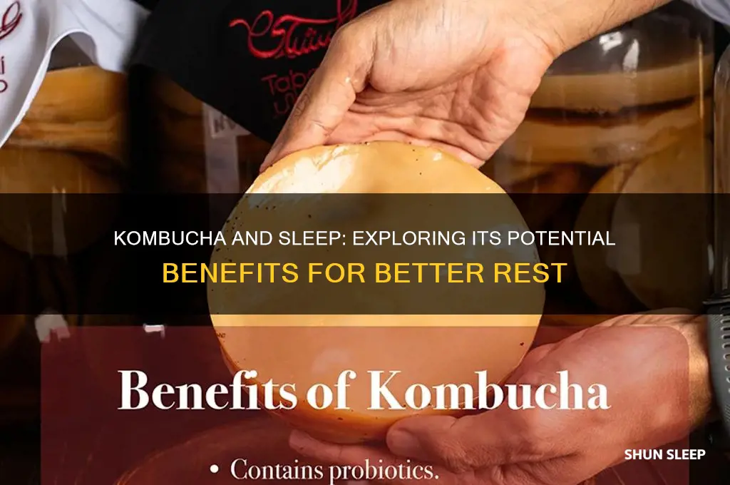 can kombucha help you sleep