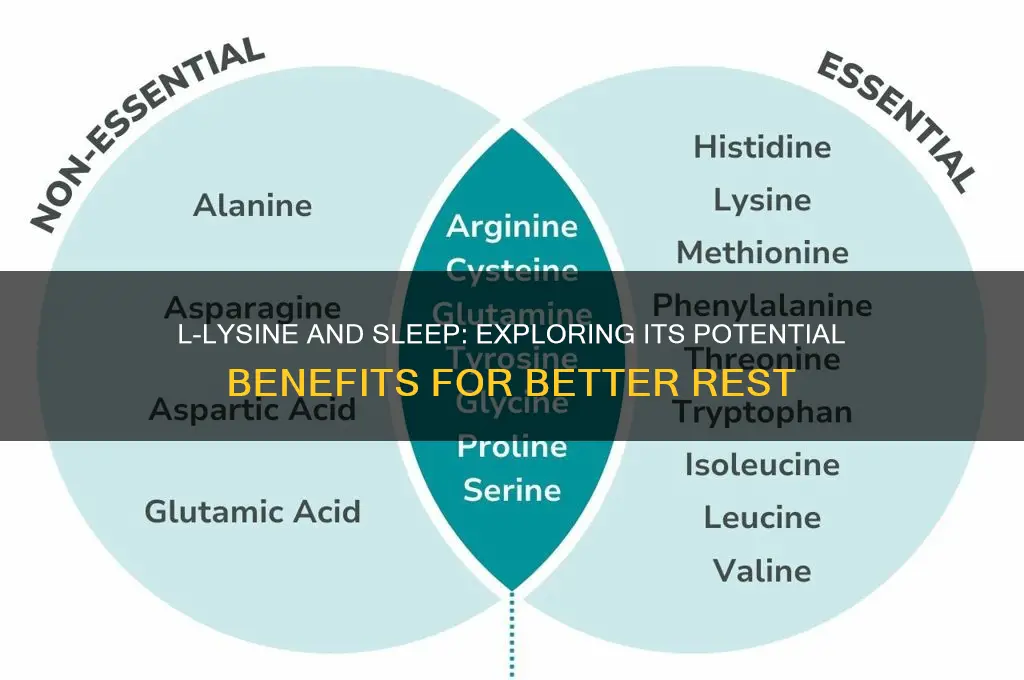 can l-lysine help with sleep