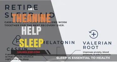 L-Theanine for Sleep: Enhancing Rest and Reducing Insomnia Naturally