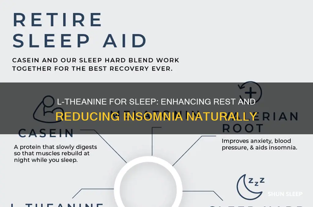 can l theanine help sleep