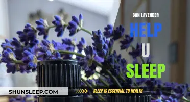 Lavender's Soothing Power: Enhancing Sleep Quality Naturally and Effectively