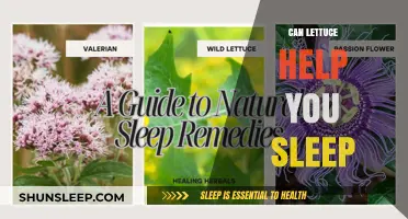 Lettuce and Sleep: Unveiling the Surprising Connection for Better Rest