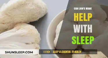 Lion's Mane Mushroom: A Natural Sleep Aid for Better Rest?