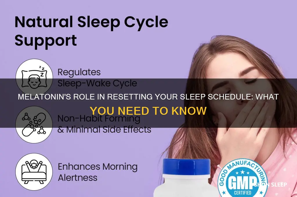 can melatonin help fix sleep schedule