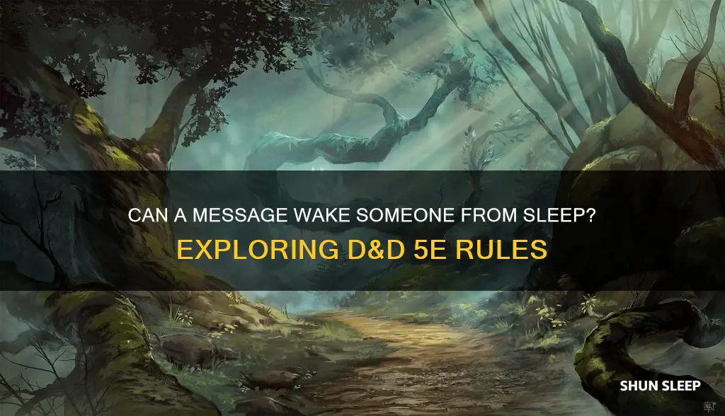 can message wake someone from sleep dnd 5e