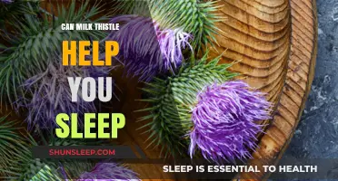 Milk Thistle for Sleep: Benefits, Dosage, and Effectiveness Explained