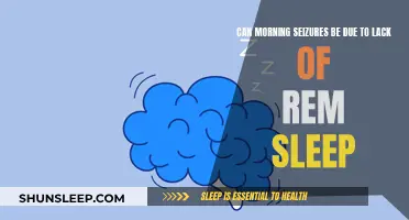 REM Sleep Deprivation: A Trigger for Morning Seizures?