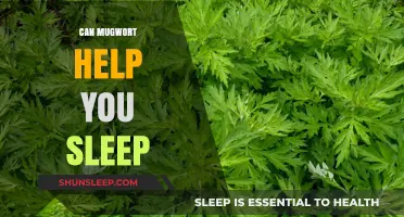 Mugwort for Sleep: Natural Remedy or Myth?