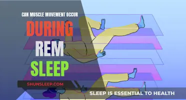 Muscle Movement During REM Sleep: Is It Possible?