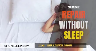 Muscle Repair: Sleep's Role in Recovery