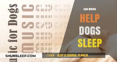 Melodies for Mutts: Can Music Improve Your Dog's Sleep Quality?