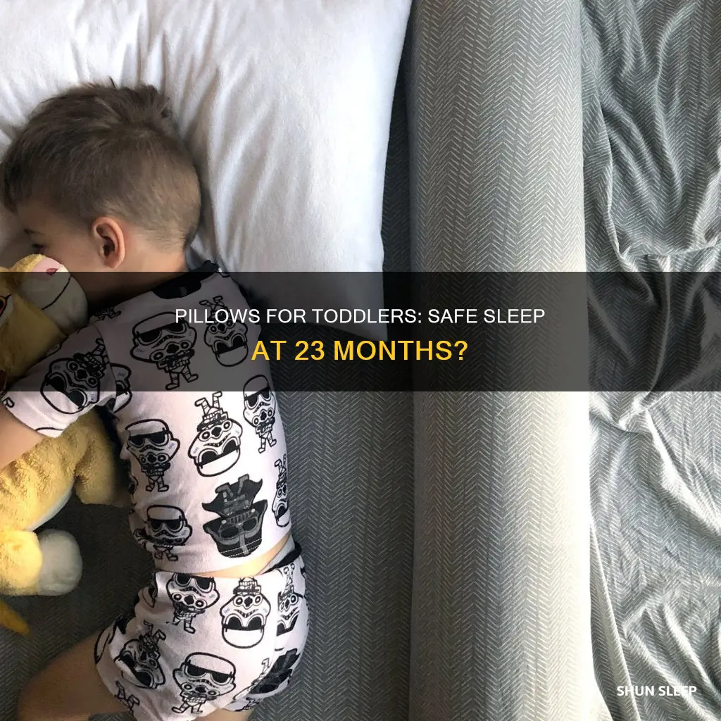 can my 23 month old sleep with a pillow