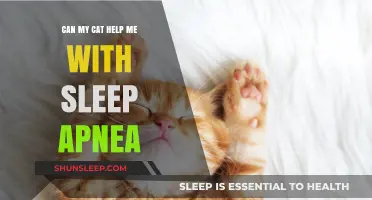 Can Cats Aid Sleep Apnea? Exploring Feline Companionship Benefits