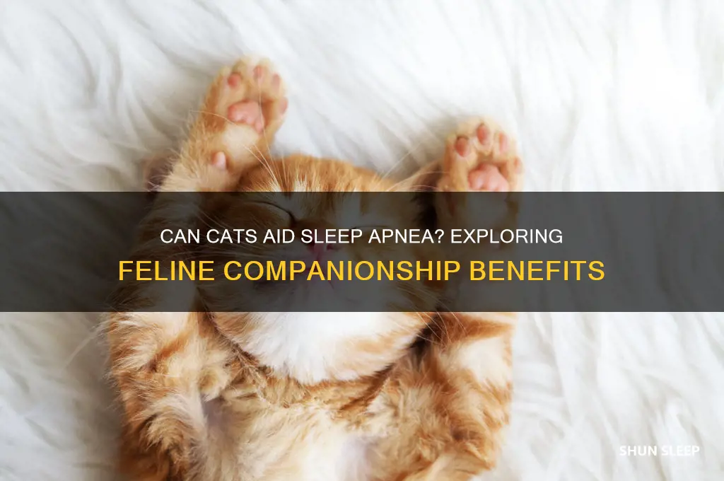 can my cat help me with sleep apnea