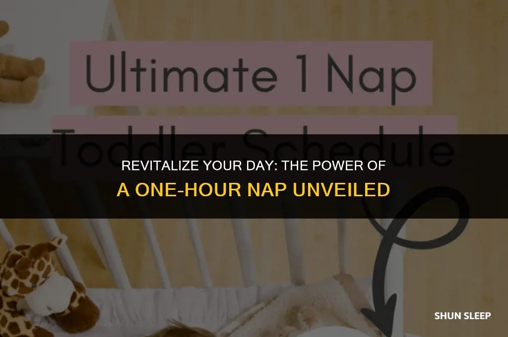 can napping for an hour replace 8 hours of sleep