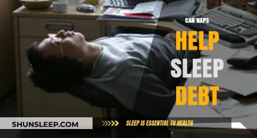 Napping to Repay Sleep Debt: Effective Strategy or Temporary Fix?