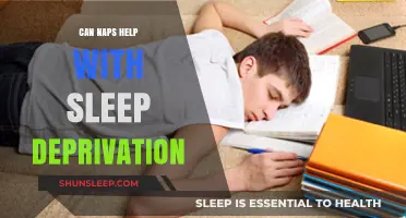 Napping to Recover: Can Short Rests Combat Sleep Deprivation?