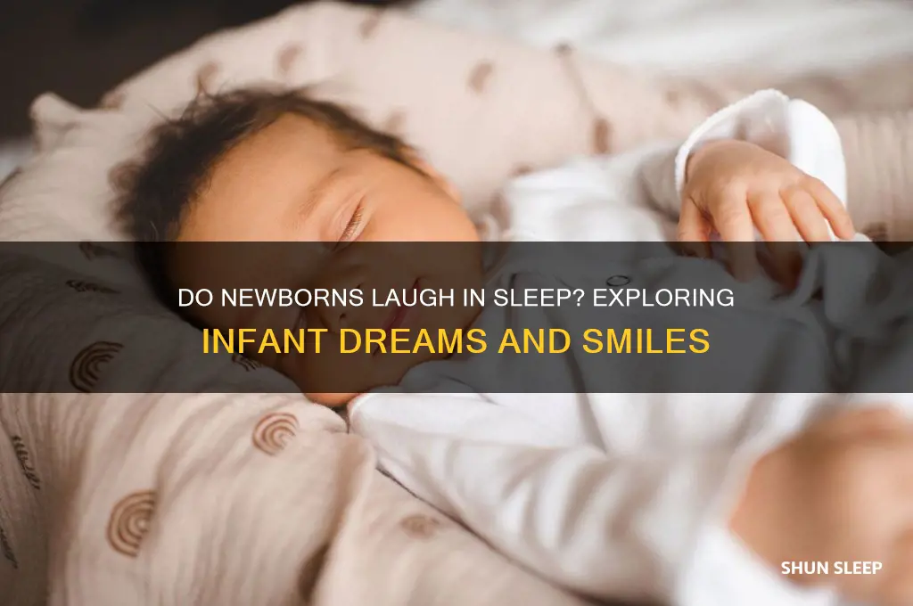 can newborn babies laugh in their sleep