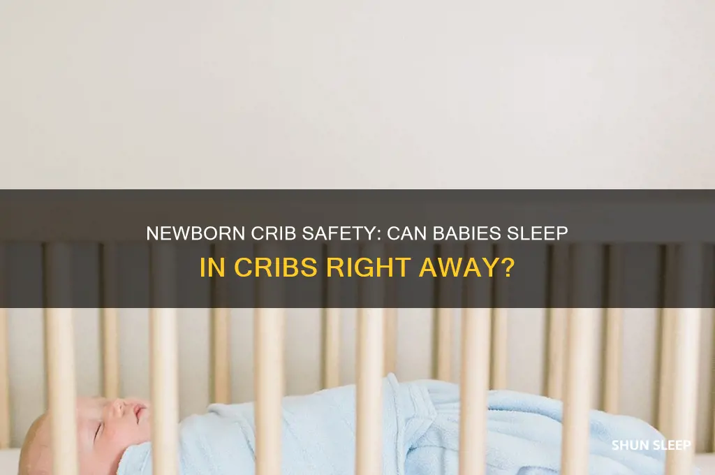 can newborn babies sleep in a crib