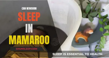 Mamaroo for Newborn Sleep: Safe or Not?