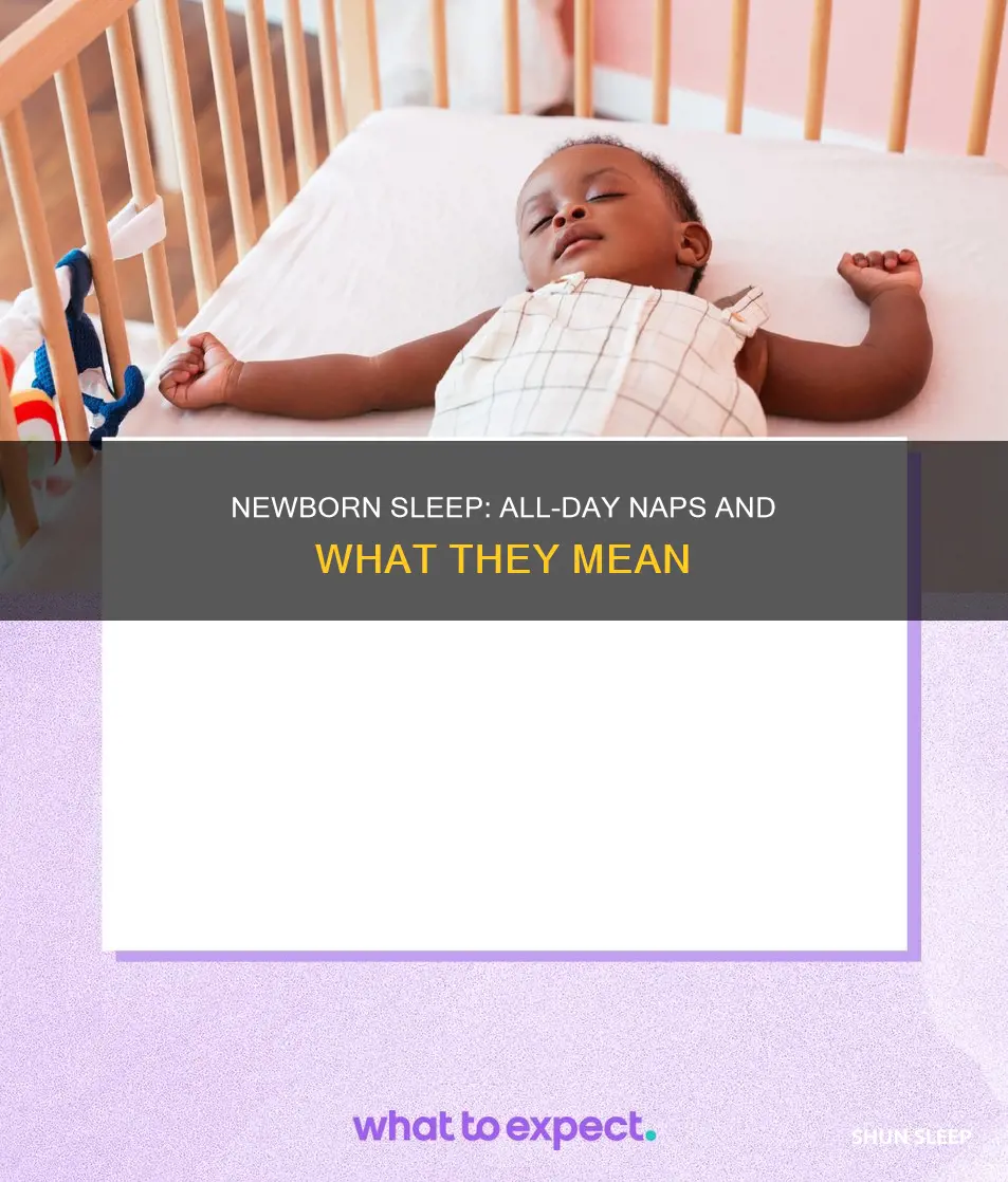can newborns sleep all day
