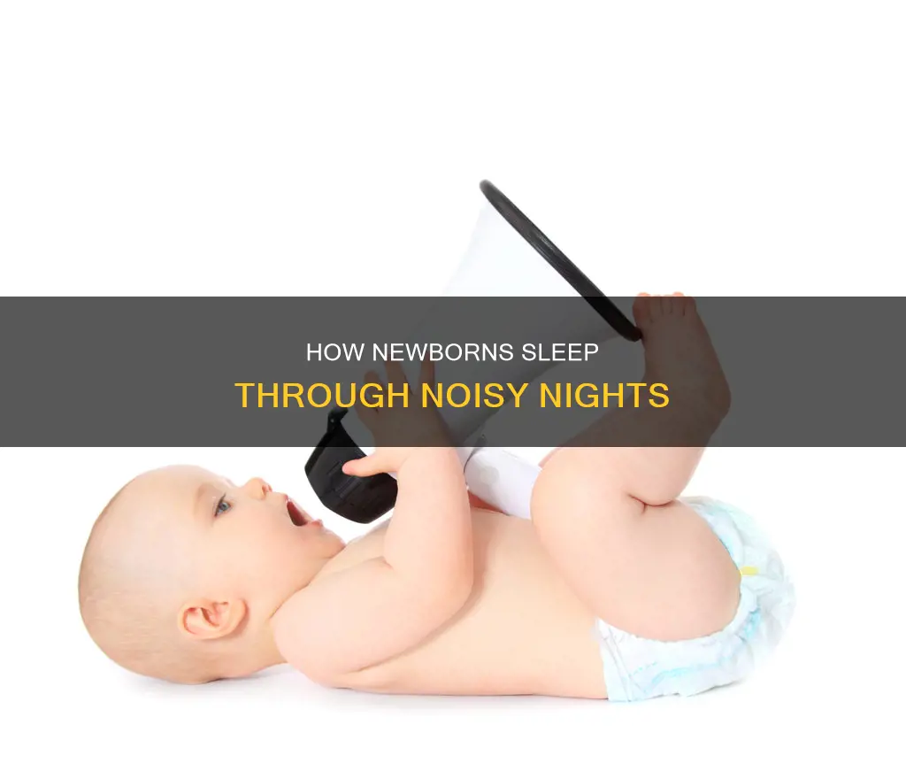 can newborns sleep through loud noises