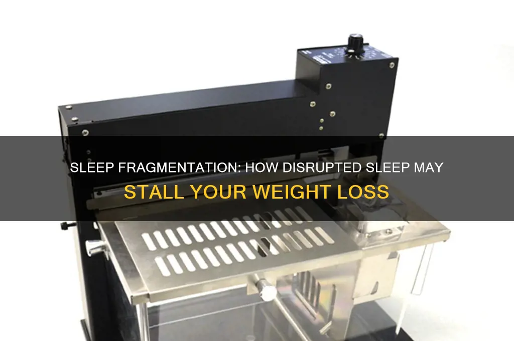 can not getting continuous sleep cause a weight loss plateau