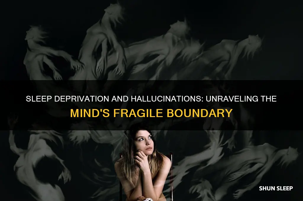 can not getting enough sleep cause hallucinations