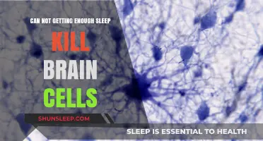 Sleep Deprivation's Deadly Impact: Are Your Brain Cells at Risk?