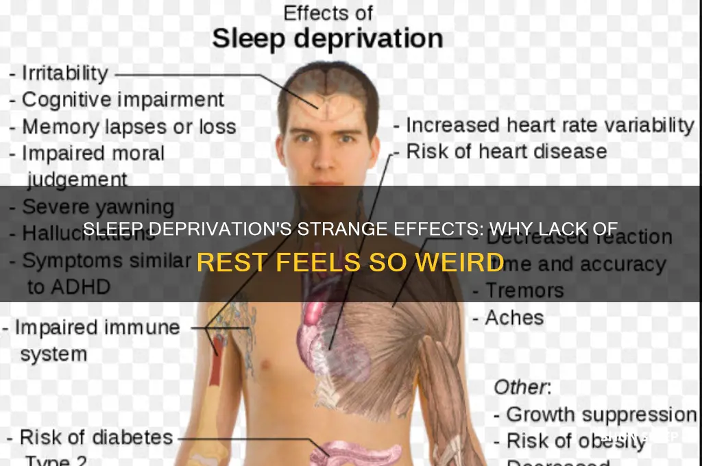 can not getting enough sleep make you feel weird