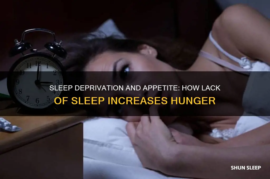 can not getting enough sleep make you hungry