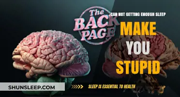 Sleep Deprivation and Cognitive Decline: Are You Losing Intelligence?