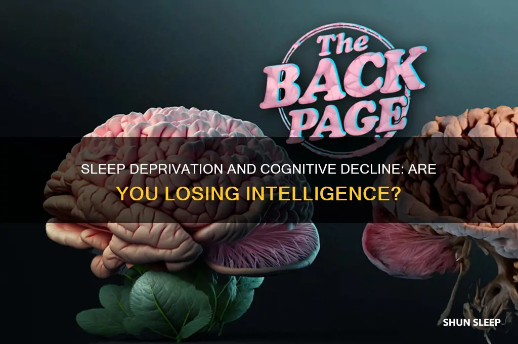 can not getting enough sleep make you stupid