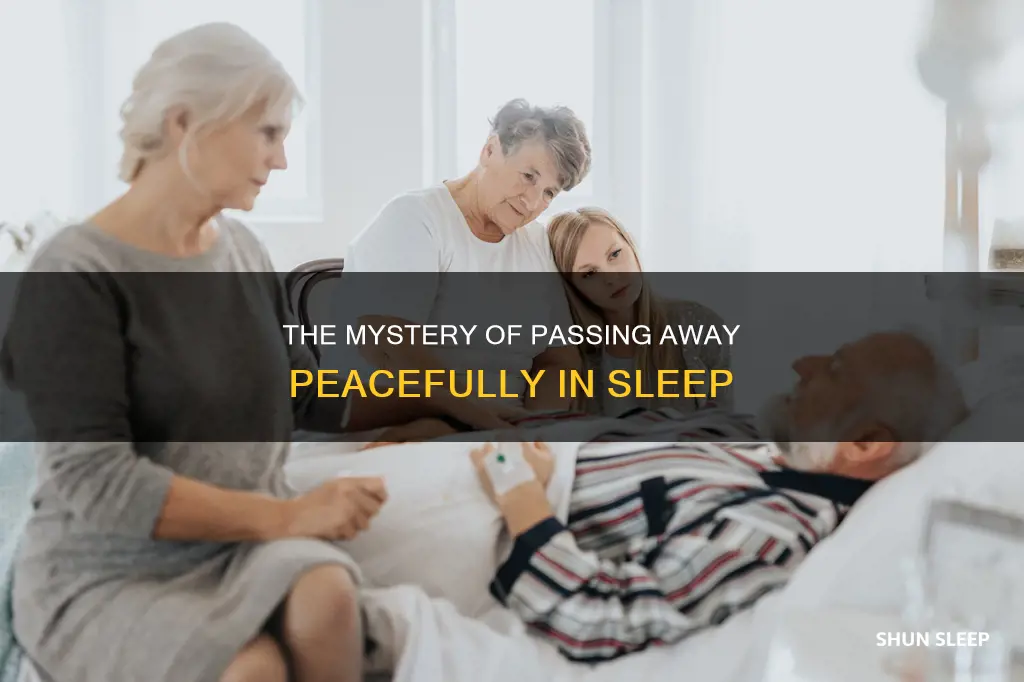 can old people just die in their sleep