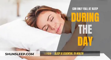 Daytime Sleep: A Comforting Nap or Concerning Slumber?