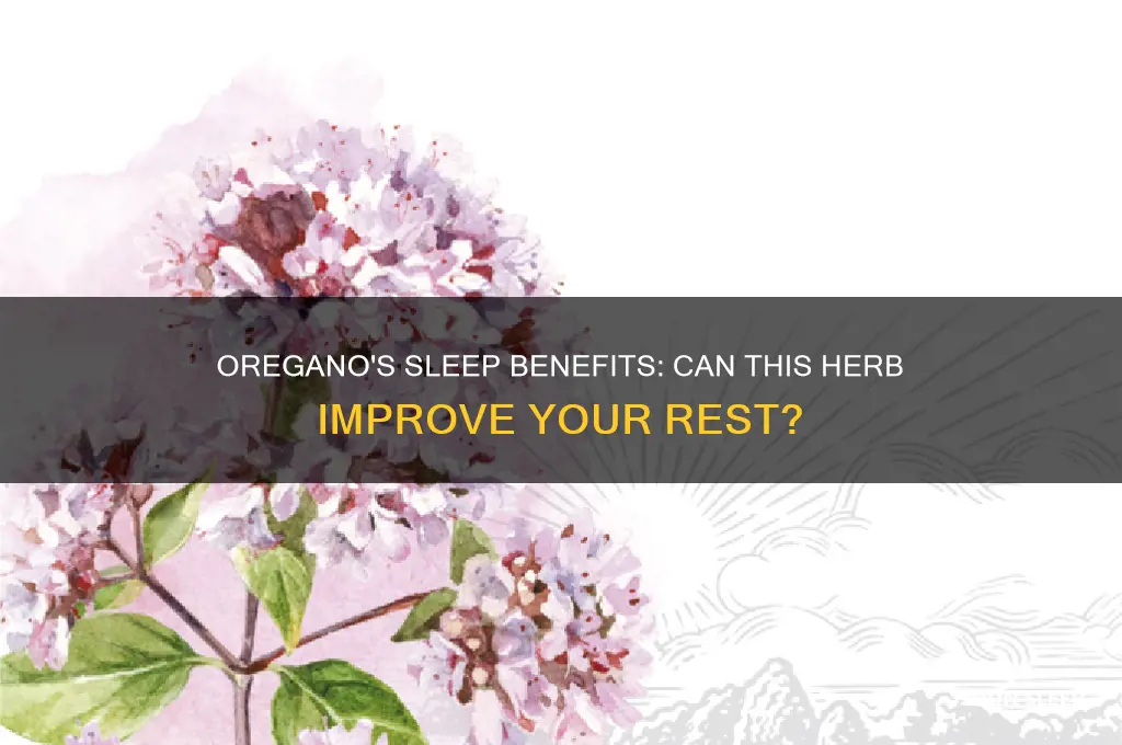 can oregano help you sleep
