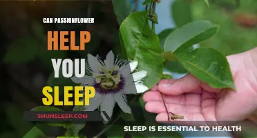 Passionflower for Sleep: Natural Remedy or Myth?
