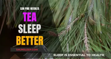Pine Needle Tea: Natural Sleep Aid