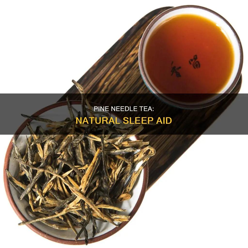 can pine needles tea sleep better