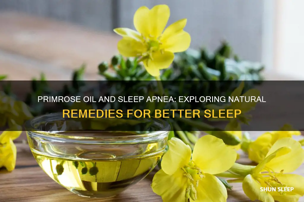 can primrose oil help sleep apnea