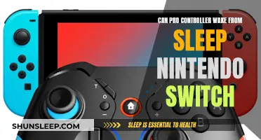 Pro Controller: Waking Up Nintendo Switch from Sleep Mode