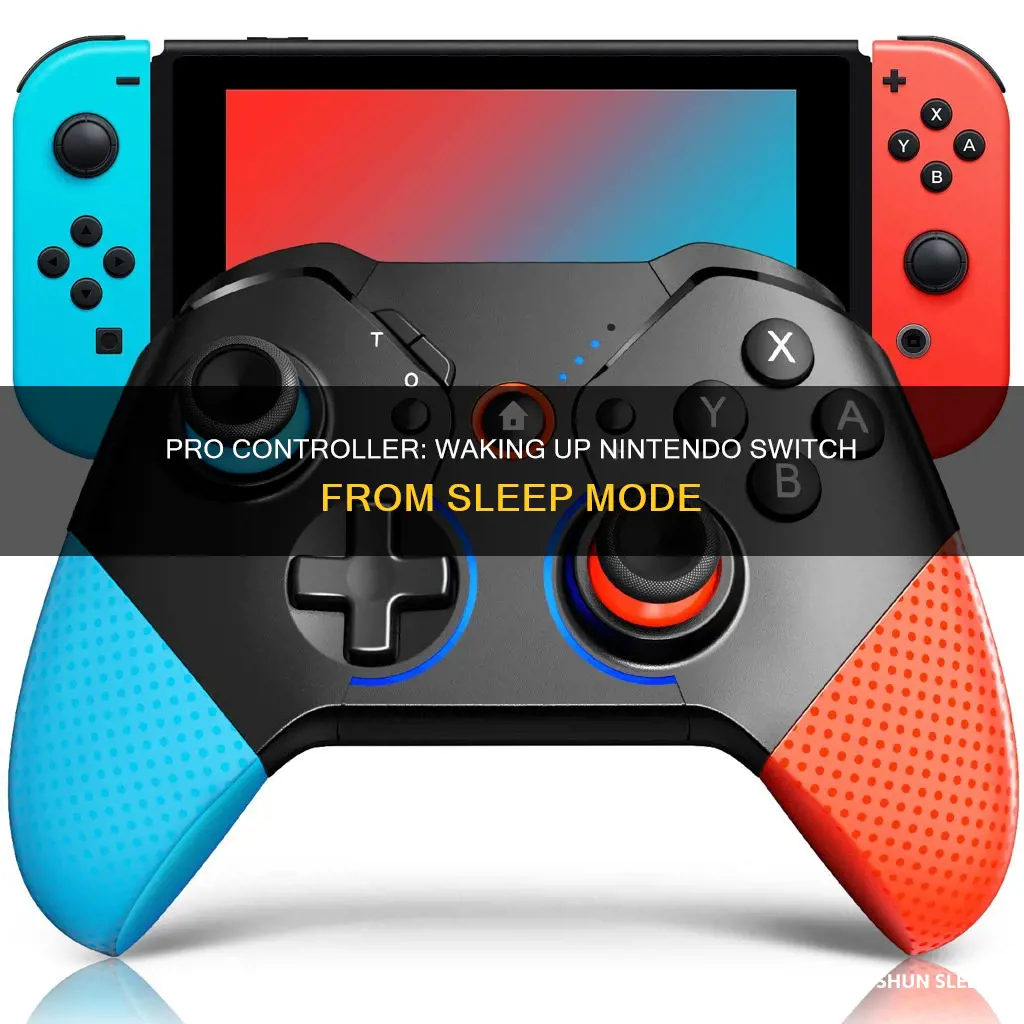 can pro controller wake from sleep nintendo switch