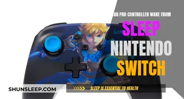 How to Wake Nintendo Switch with Pro Controller