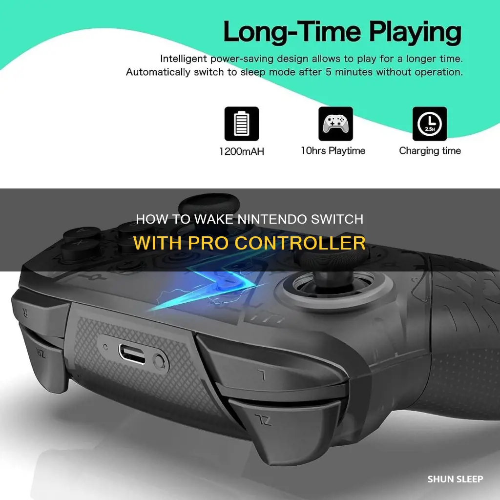 can pro controller wake from sleep nintendo switch